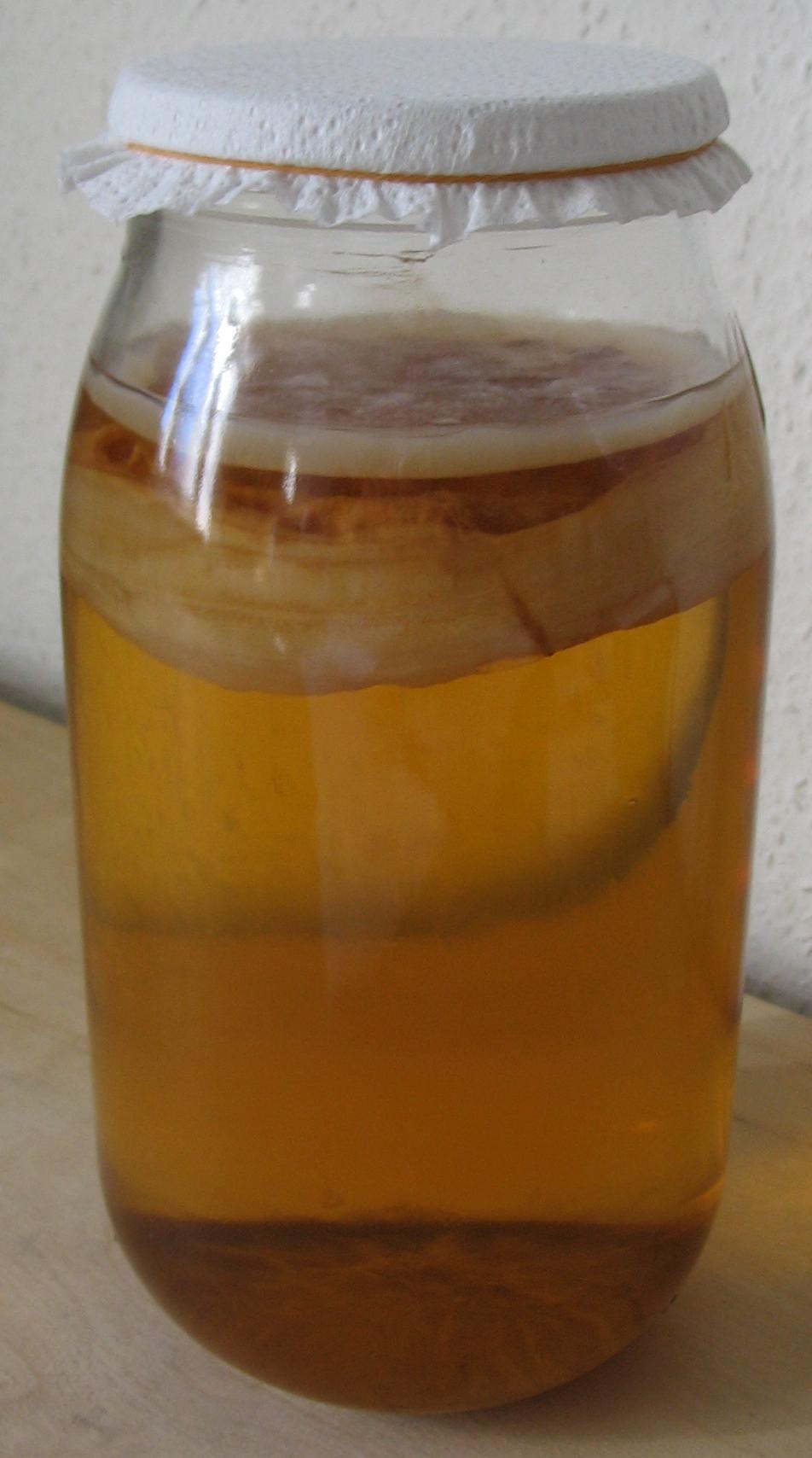 Innovative Techniques for Achieving Kombucha Synergy