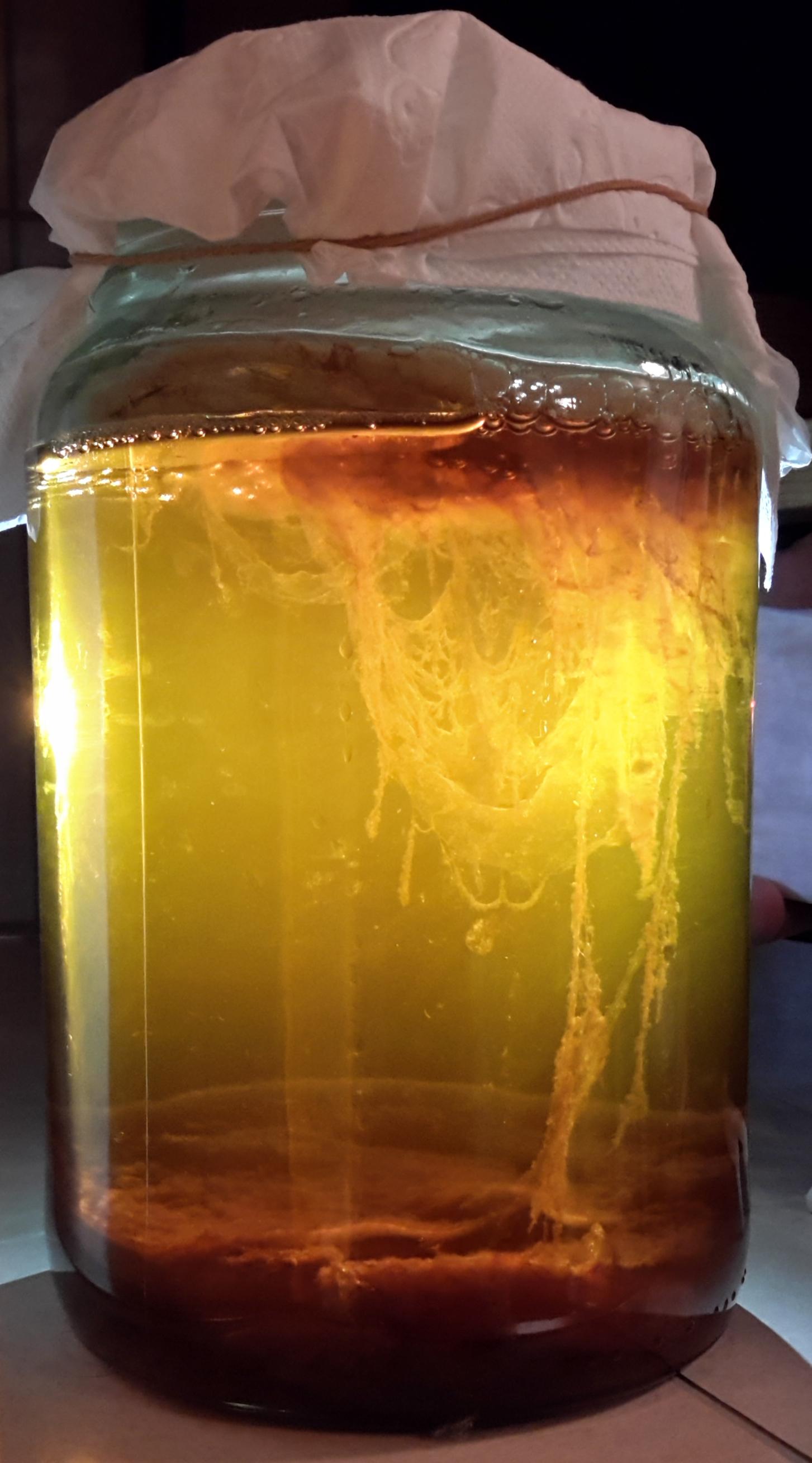 Heading 1: Unlocking the ​Sweetness: Exploring the Marriage of Kombucha and Honey