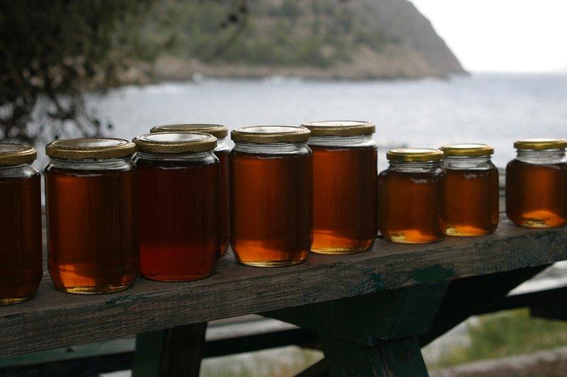 kombucha en español