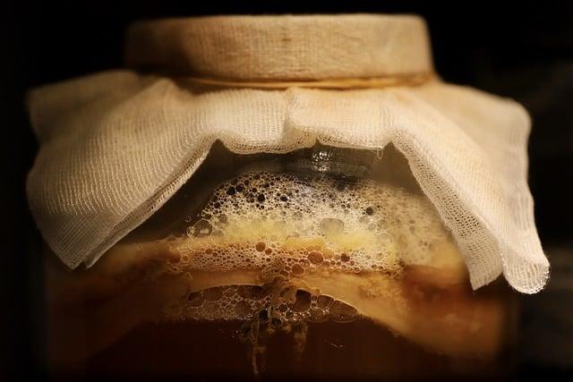 kombucha alcohol