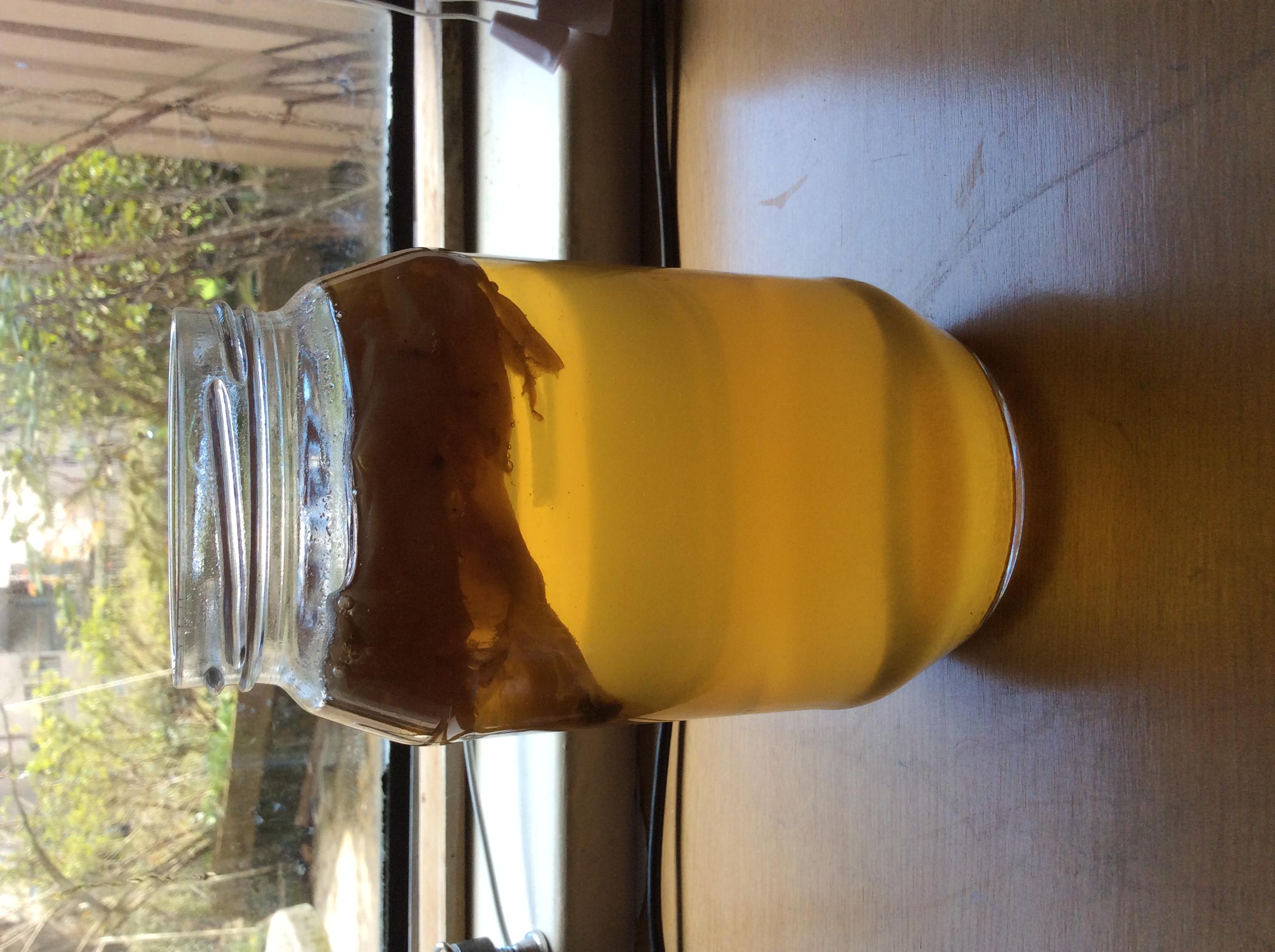 Unveiling the Health Benefits of Kombucha Honey Elixir