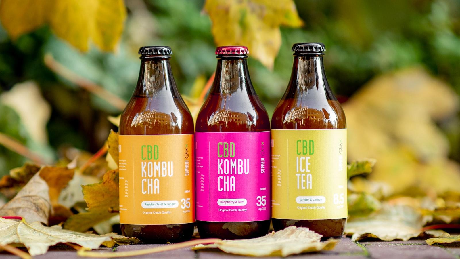 From Popular Favorites to Hidden Gems: Kombucha Recommendations