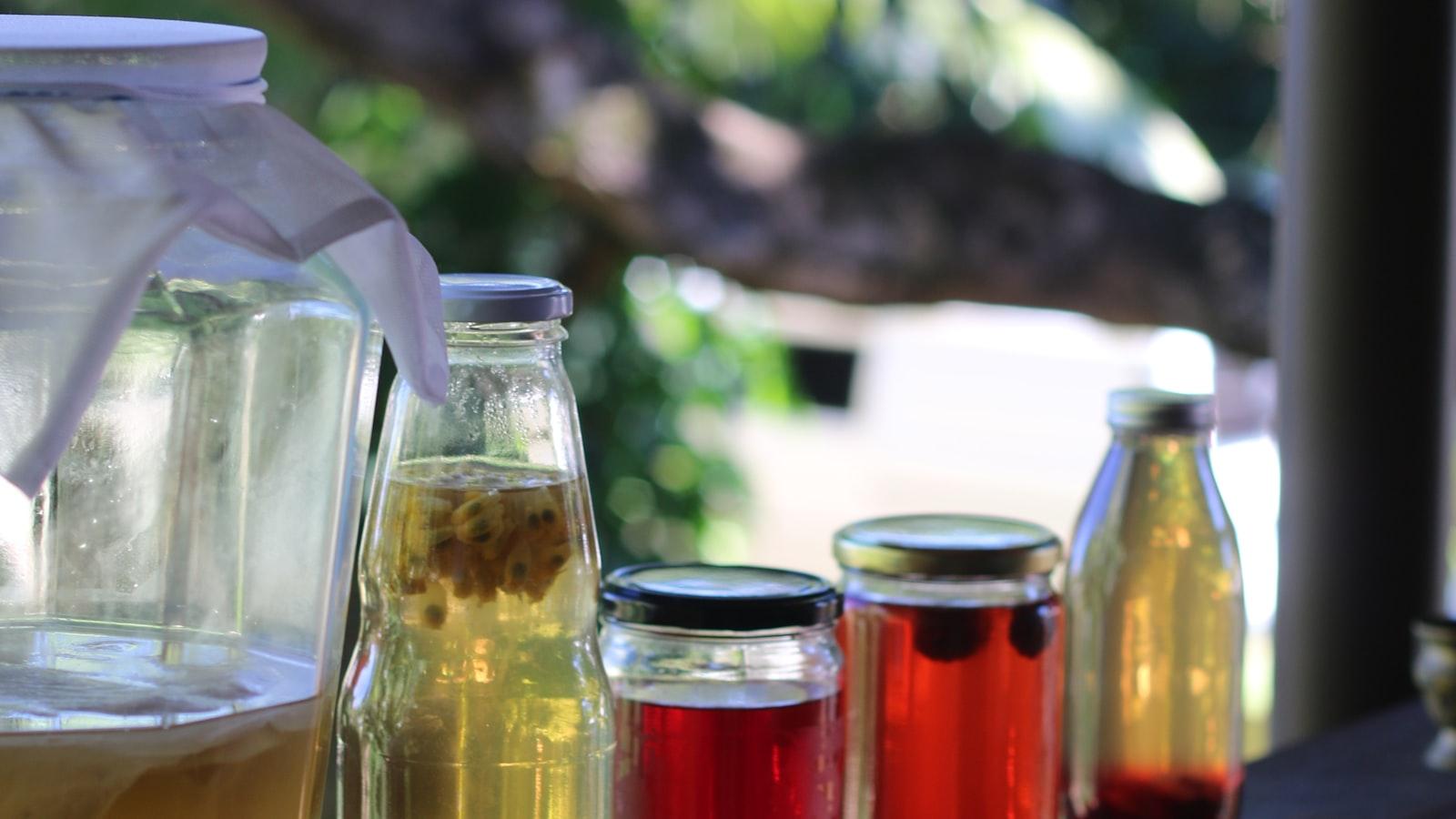 Exploring the Benefits of Kombucha for Low FODMAP Diets