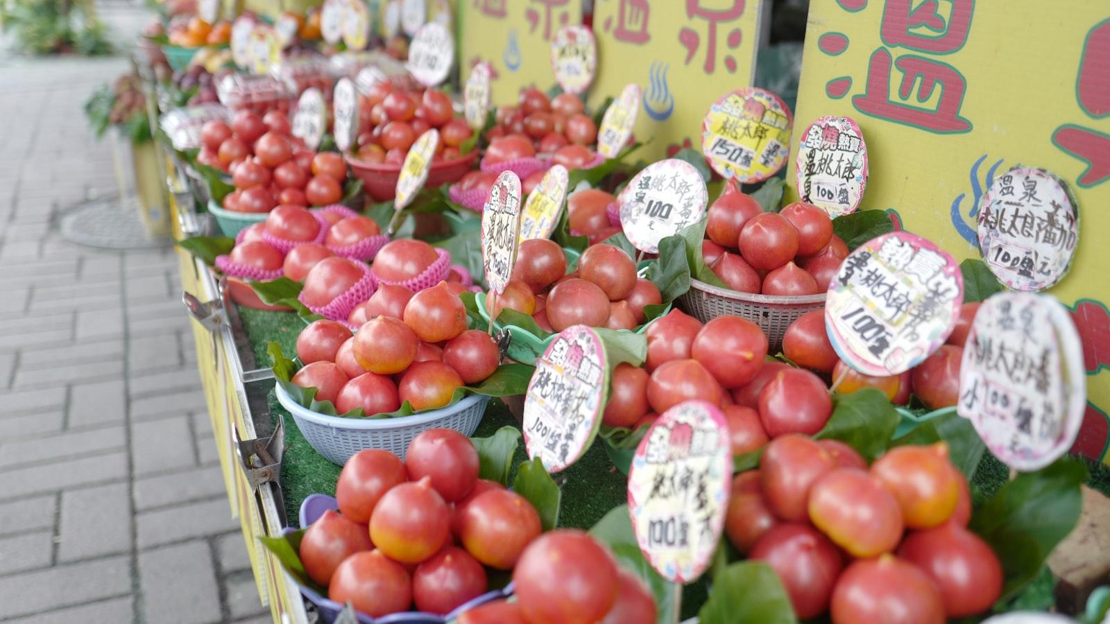 Exploring Local Stores Offering Discounts on Kombucha