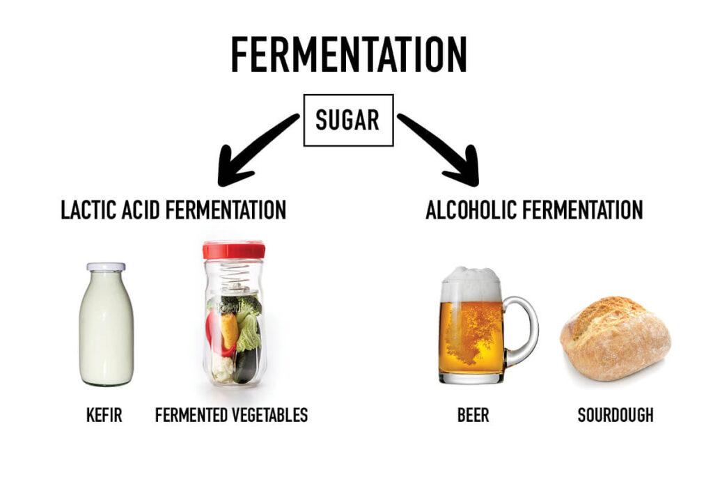 Exploring the Fermentation Process ⁣and Its Impact on‍ Carb ⁣Content