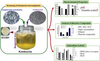 Tips for Cultivating a‍ Healthy Bacterial⁢ Community ‌in Your Homemade Kombucha