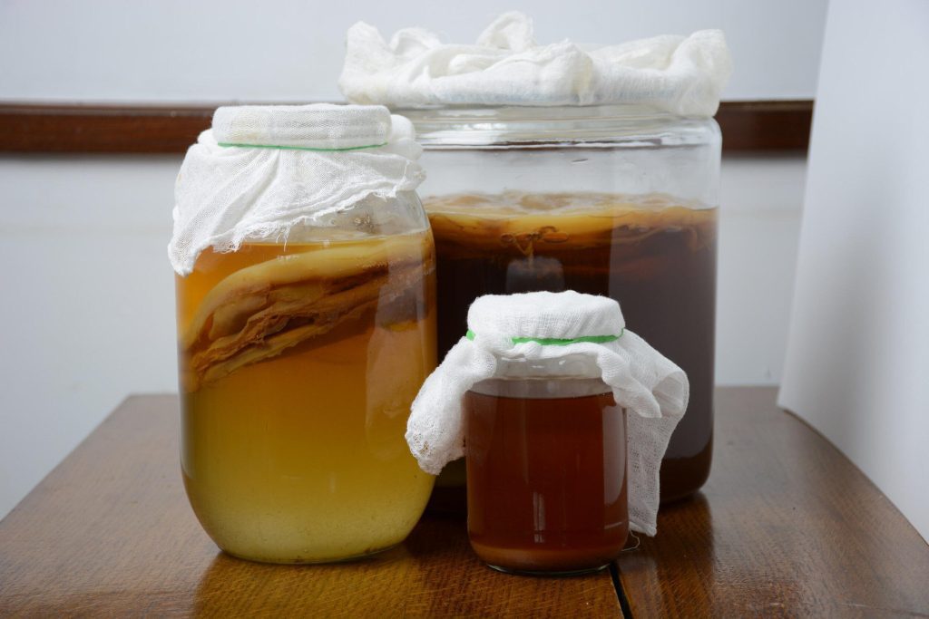 kombucha urine