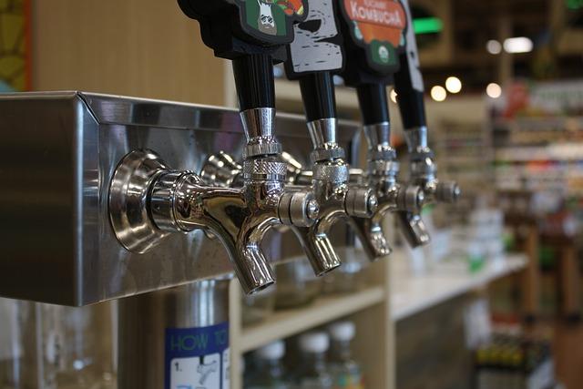 Unveiling the Flavor Profiles of GTS Kombucha Varieties
