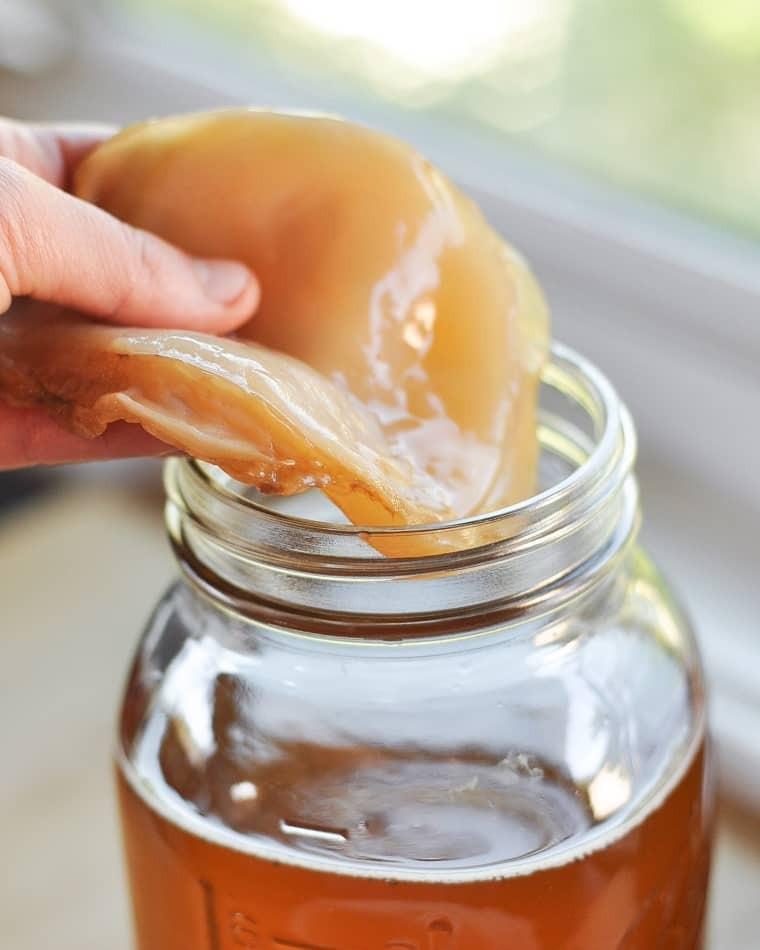 Understanding the Rise of Kombucha:‌ A ‍Fermented⁤ Tea‍ Revolution