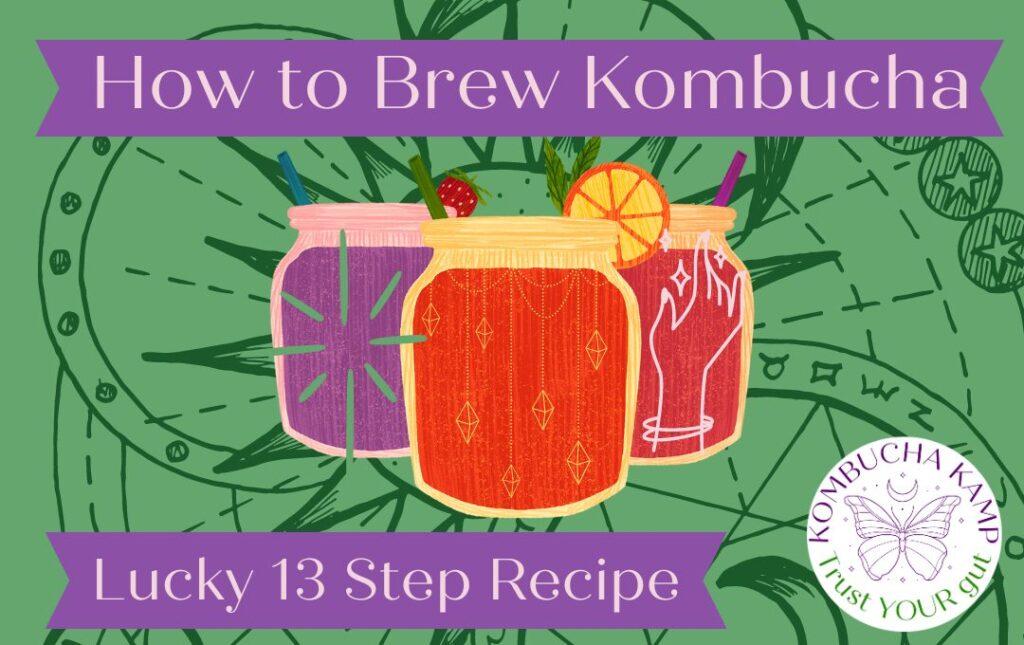 Exploring the Origins and Health Benefits of Kombucha Kamp