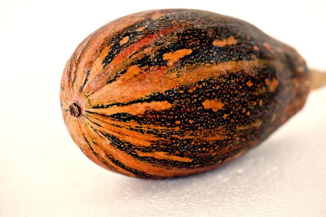 kabocha squash