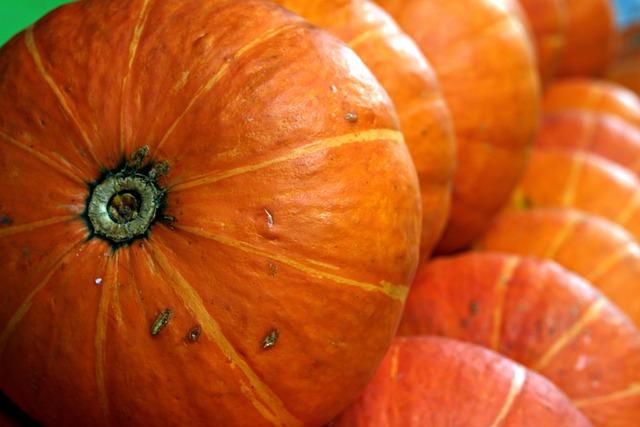 Choosing and Storing Kabocha Squash for Maximum Freshness