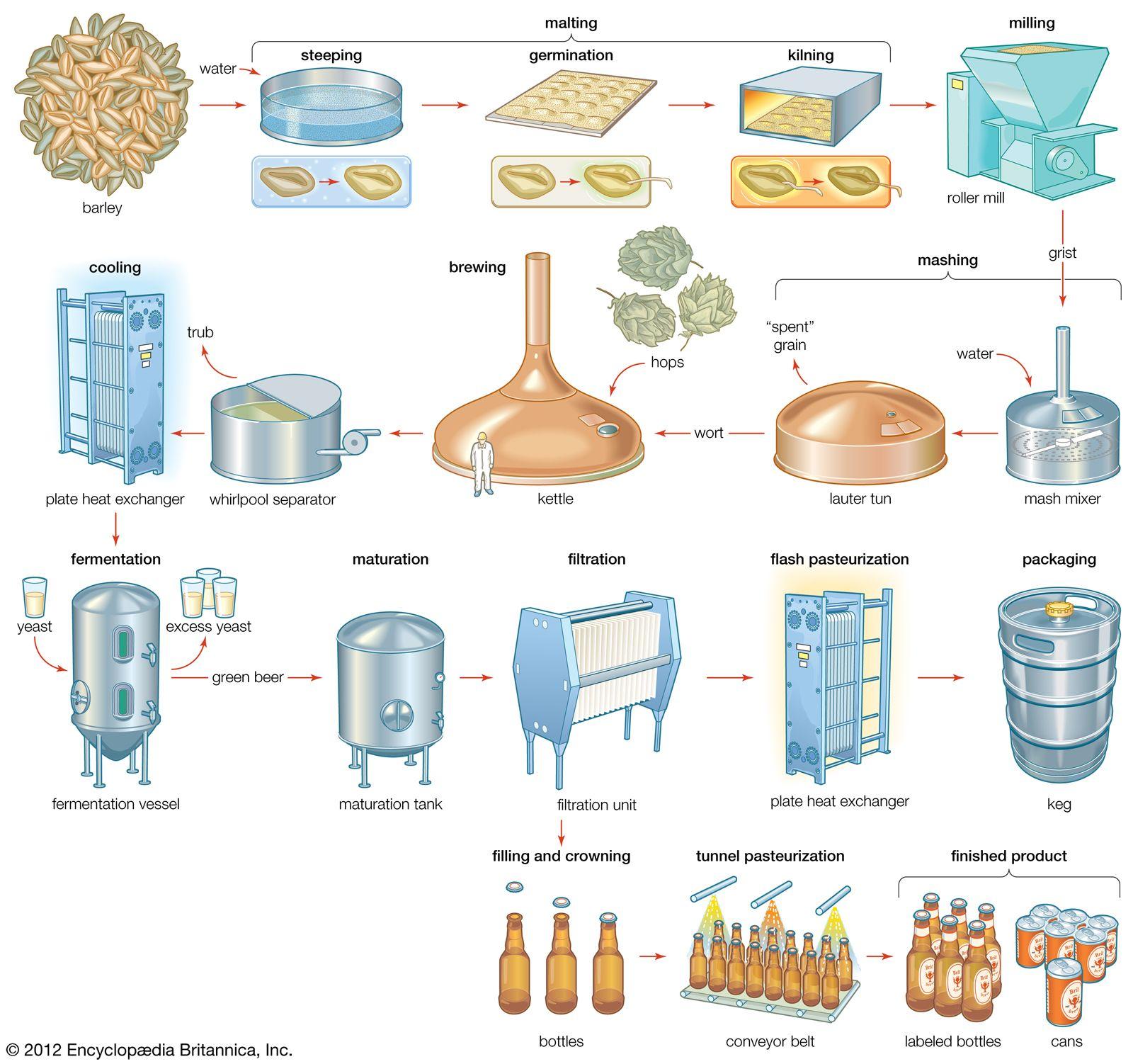 Understanding the⁢ Brewing ‍Process Behind Unflavored ‍Kombucha