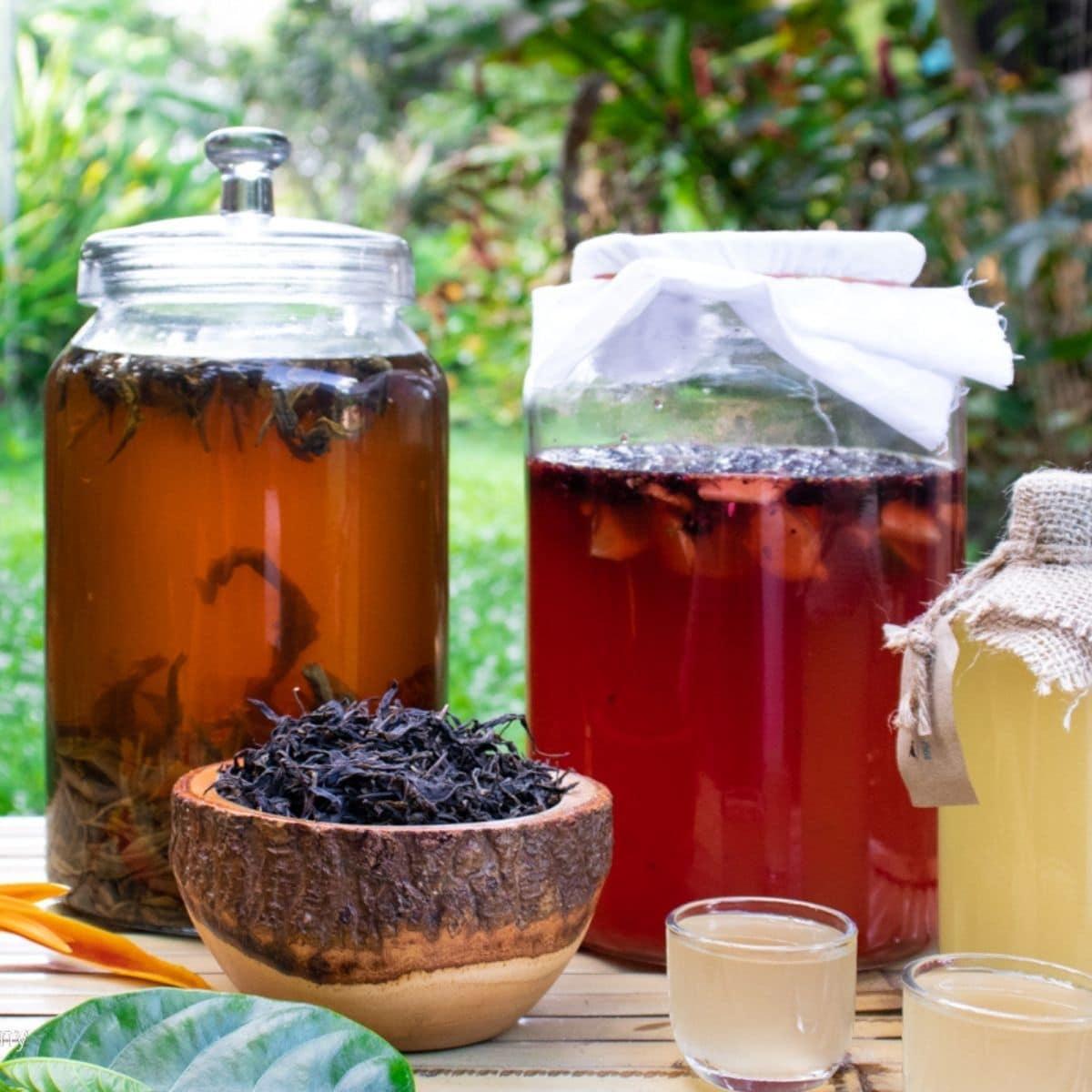 Kombucha Tea for Mental Clarity and Mood Enhancement