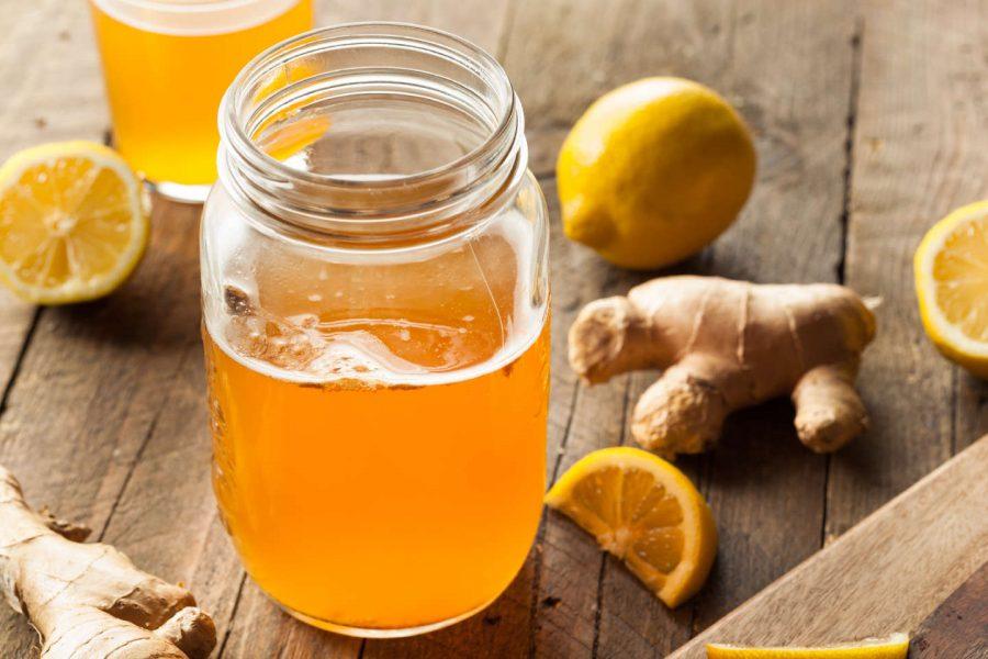 kombucha kit