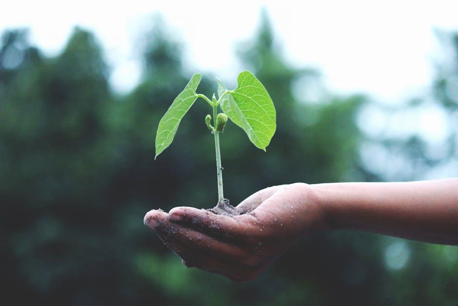 Sustainability in Packaging: The Eco-Friendly Edge of Canned Kombucha