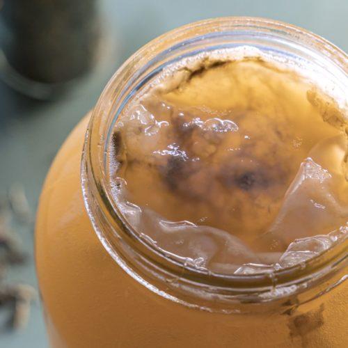 Choosing the Right Material for Your Kombucha Brewing Jar
