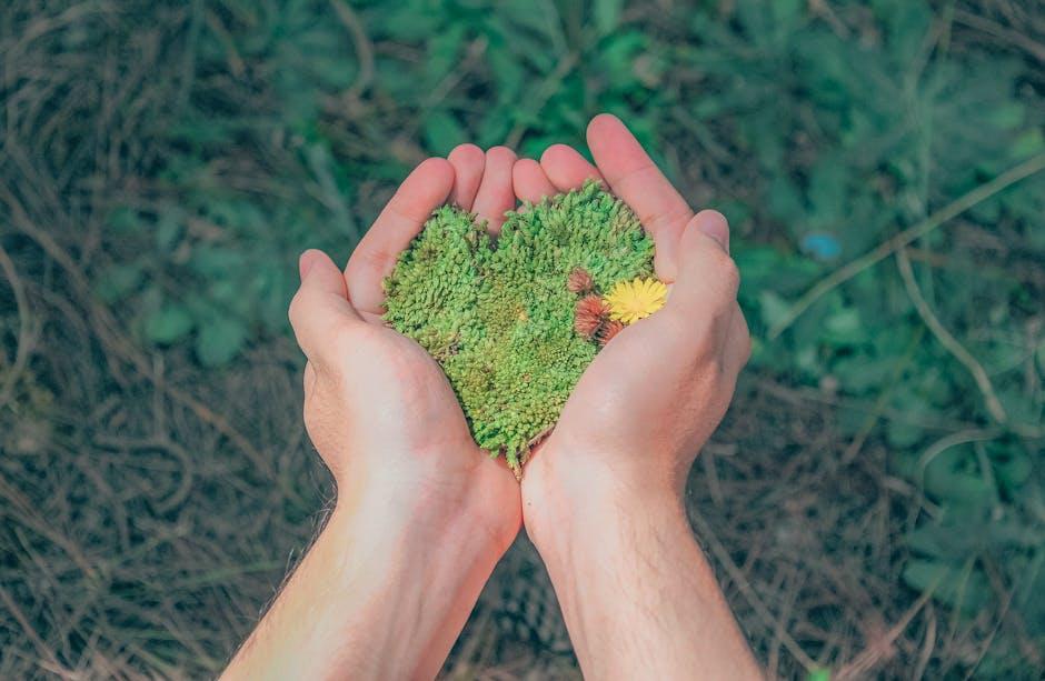 Sustainable Practices in Kombucha Delivery Companies