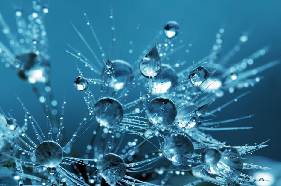 The⁤ Science Behind Kombuchas Fermentation Process