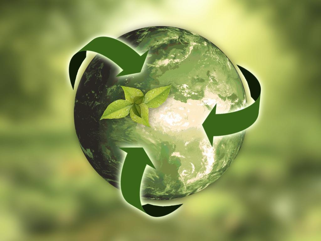 Sustainability and Kombucha: The Eco-Friendly Brewing Movement in the Spanish Community