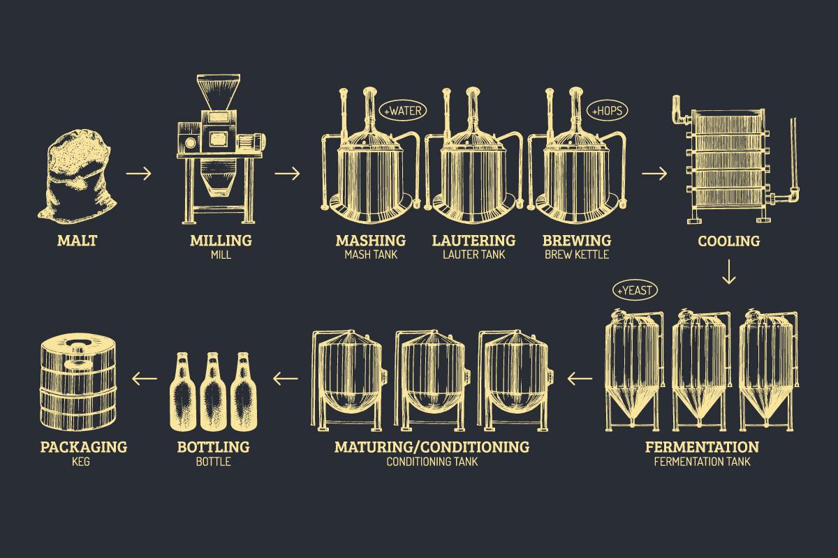 Exploring the Brewing Process of Kombucha Through Centuries