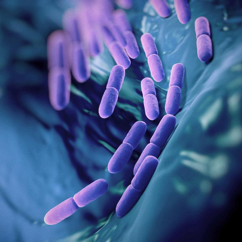 Understanding the Role of Probiotics in Sleep Quality