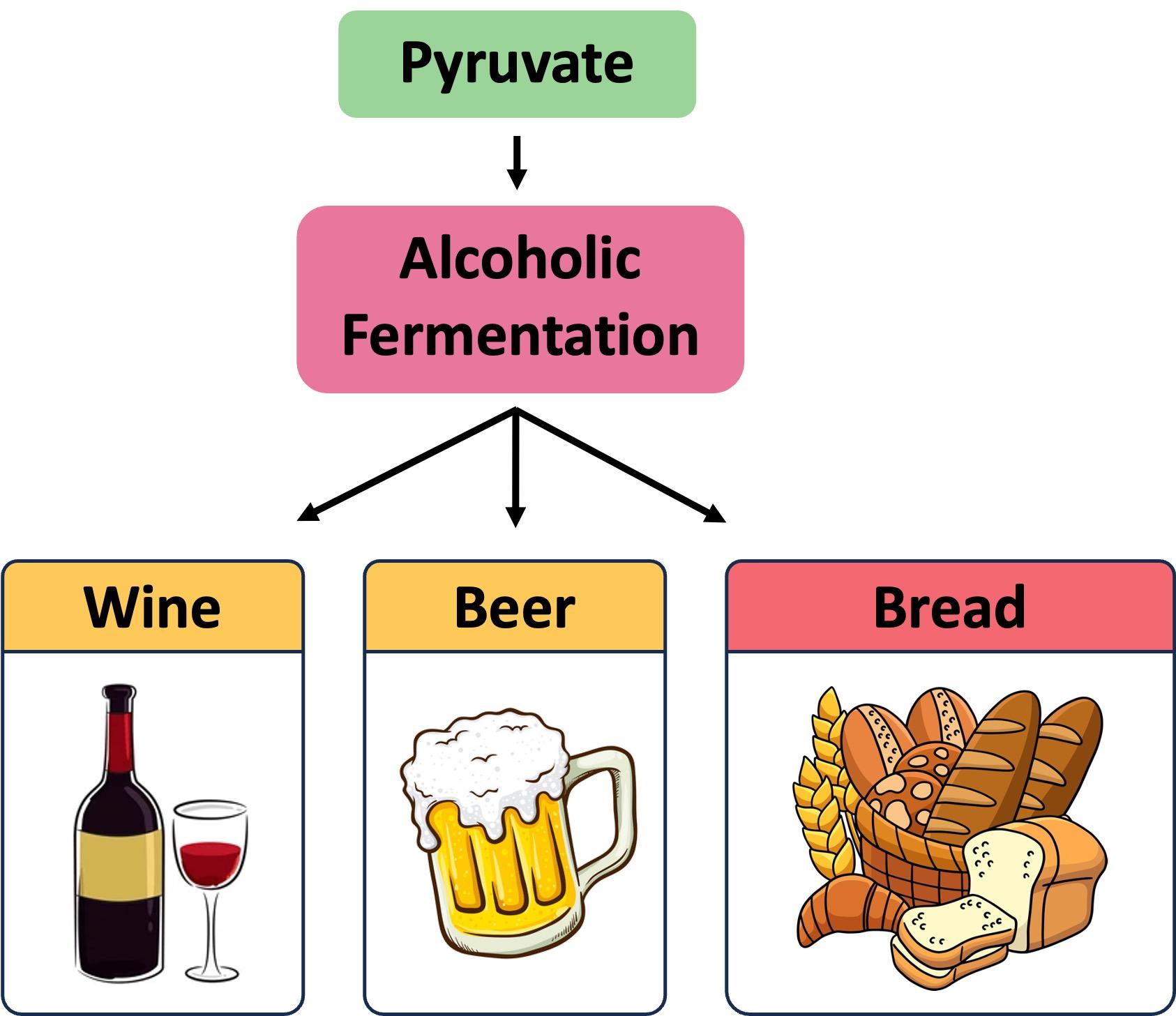 Tips for Successful Fermentation and Flavoring