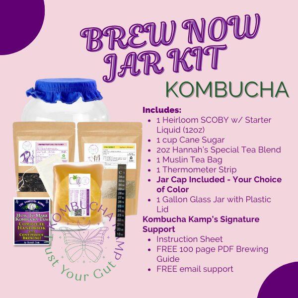 Kombucha Kamp Community: Connecting with Fellow Enthusiasts