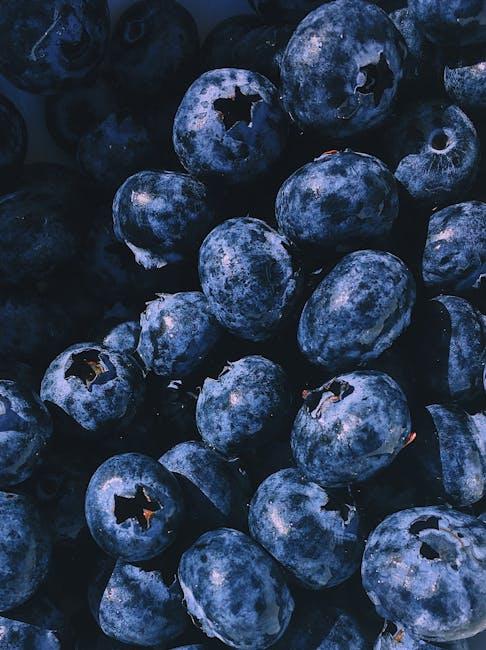 Exploring ‌the Antioxidant Properties of Kombucha