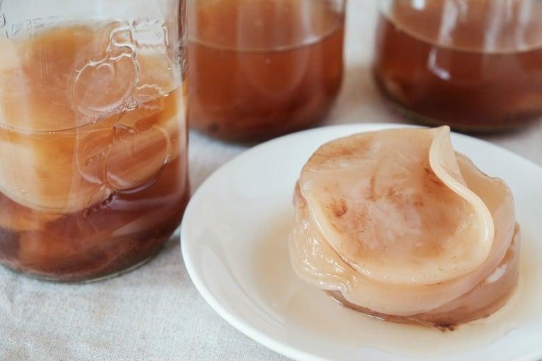 Comparing Different Kombucha Warmers on the ‍Market