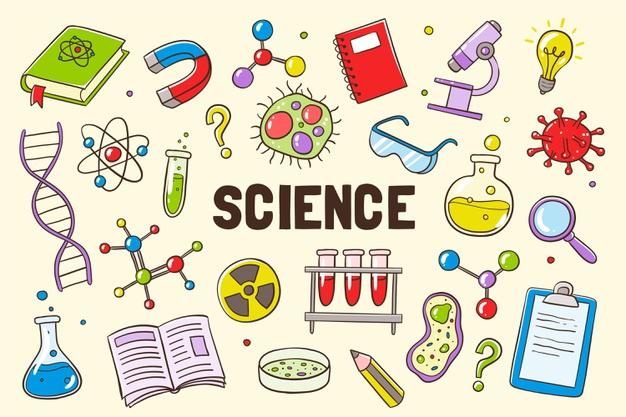 The Science Behind Kombucha: Fermentation and Health Benefits
