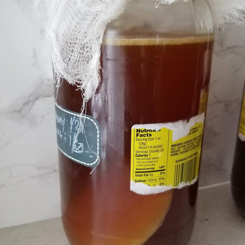 kombucha korean