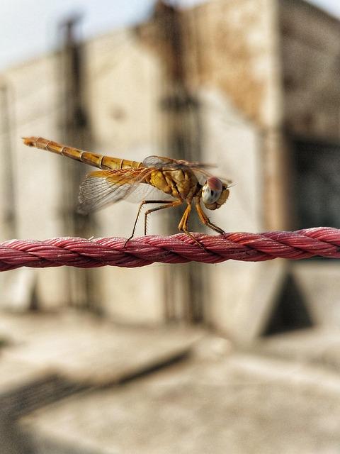 Balancing Act: Achieving Optimal pH for Health Benefits